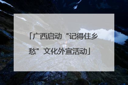 广西启动“记得住乡愁”文化外宣活动