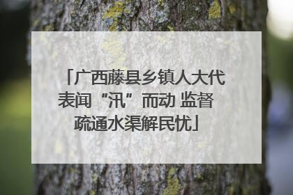 广西藤县乡镇人大代表闻“汛”而动 监督疏通水渠解民忧