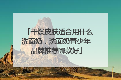 干燥皮肤适合用什么洗面奶，洗面奶青少年品牌推荐哪款好