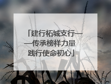 建行柘城支行——传承榜样力量 践行使命初心