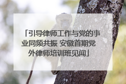引导律师工作与党的事业同频共振 安徽首期党外律师培训班见闻