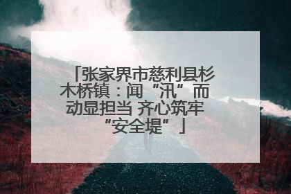张家界市慈利县杉木桥镇：闻“汛”而动显担当 齐心筑牢“安全堤”