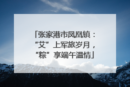 张家港市凤凰镇：“艾”上军旅岁月，“粽”享端午温情