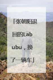 张朝阳退回的Labubu，换了一辆车