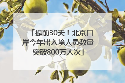 提前30天！北京口岸今年出入境人员数量突破800万人次