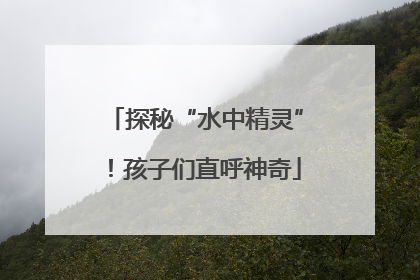 探秘“水中精灵”！孩子们直呼神奇