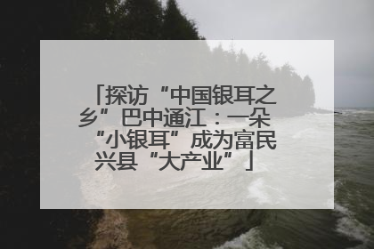 探访“中国银耳之乡”巴中通江：一朵“小银耳”成为富民兴县“大产业”