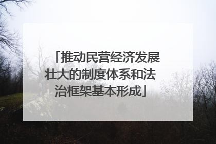 推动民营经济发展壮大的制度体系和法治框架基本形成