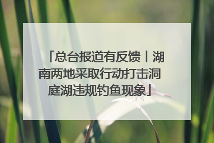 总台报道有反馈丨湖南两地采取行动打击洞庭湖违规钓鱼现象