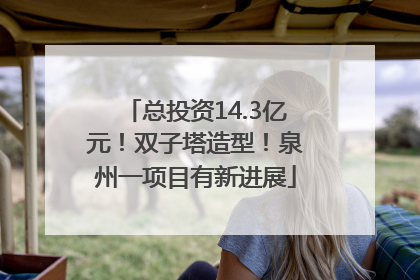 总投资14.3亿元！双子塔造型！泉州一项目有新进展