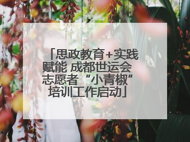 思政教育+实践赋能 成都世运会志愿者“小青椒”培训工作启动