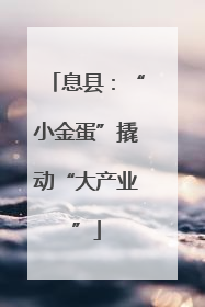 息县：“小金蛋”撬动“大产业”