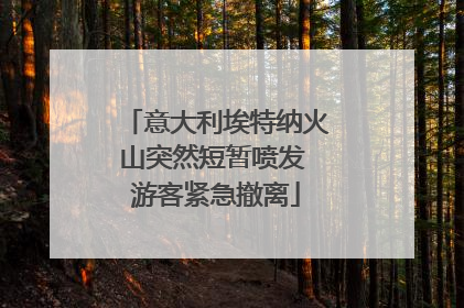 意大利埃特纳火山突然短暂喷发 游客紧急撤离