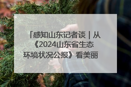 感知山东记者谈｜从《2024山东省生态环境状况公报》看美丽山东建设的“成绩单”与“任务书”