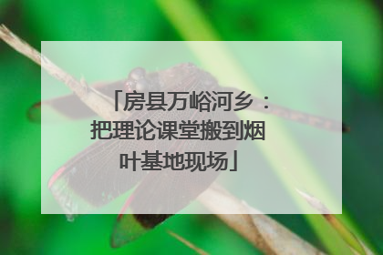 房县万峪河乡：把理论课堂搬到烟叶基地现场