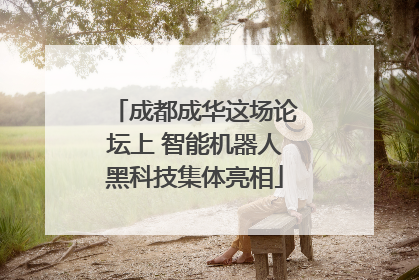 成都成华这场论坛上 智能机器人黑科技集体亮相