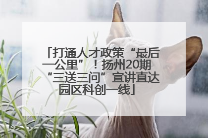 打通人才政策“最后一公里”！扬州20期“三送三问”宣讲直达园区科创一线
