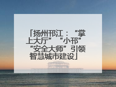扬州邗江：“掌上大厅”“小邗”“安全大师”引领智慧城市建设