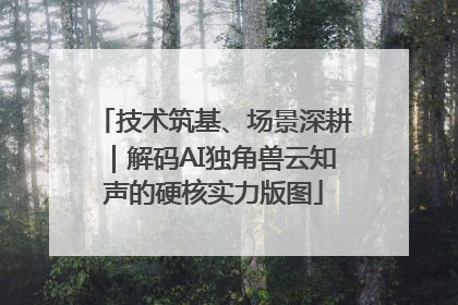 技术筑基、场景深耕｜解码AI独角兽云知声的硬核实力版图