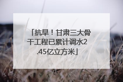 抗旱！甘肃三大骨干工程已累计调水2.45亿立方米
