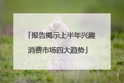 报告揭示上半年兴趣消费市场四大趋势
