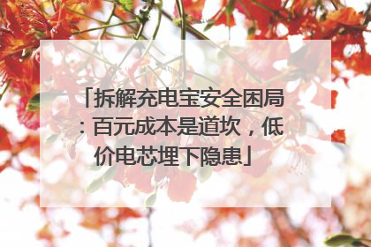 拆解充电宝安全困局：百元成本是道坎，低价电芯埋下隐患