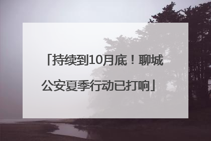 持续到10月底！聊城公安夏季行动已打响