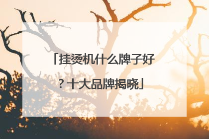 挂烫机什么牌子好？十大品牌揭晓