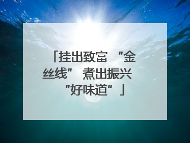 挂出致富 “金丝线” 煮出振兴“好味道”