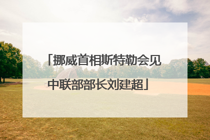挪威首相斯特勒会见中联部部长刘建超