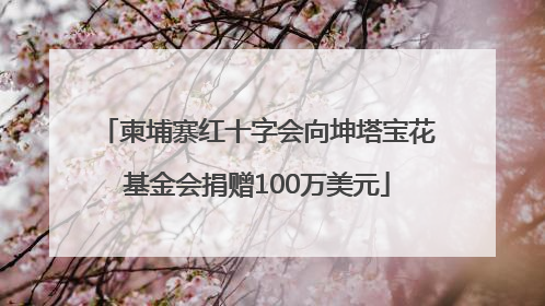 柬埔寨红十字会向坤塔宝花基金会捐赠100万美元