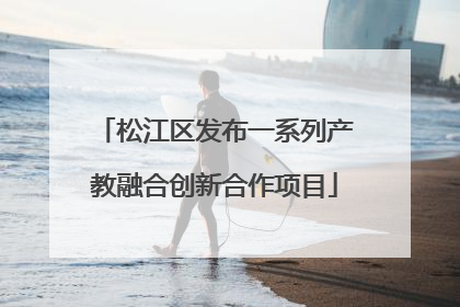 松江区发布一系列产教融合创新合作项目