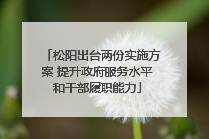 松阳出台两份实施方案 提升政府服务水平和干部履职能力
