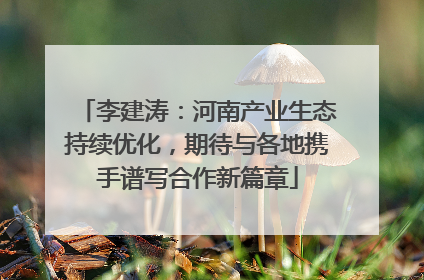 李建涛：河南产业生态持续优化，期待与各地携手谱写合作新篇章