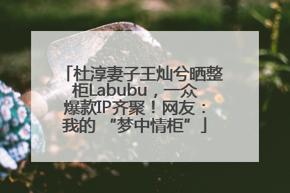 杜淳妻子王灿兮晒整柜Labubu，一众爆款IP齐聚！网友：我的 “梦中情柜”