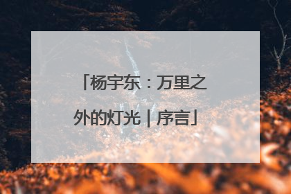 杨宇东：万里之外的灯光｜序言