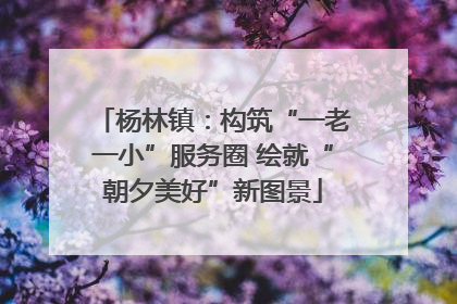 杨林镇：构筑“一老一小”服务圈 绘就“朝夕美好”新图景