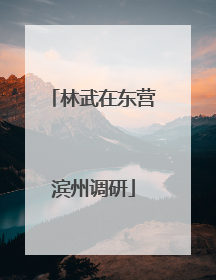 林武在东营滨州调研