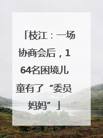 枝江：一场协商会后，164名困境儿童有了“委员妈妈”