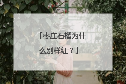 枣庄石榴为什么别样红？