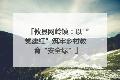 攸县网岭镇：以“党建红”筑牢乡村教育“安全绿”
