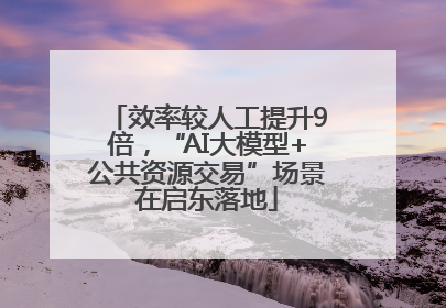 效率较人工提升9倍，“AI大模型+公共资源交易”场景在启东落地