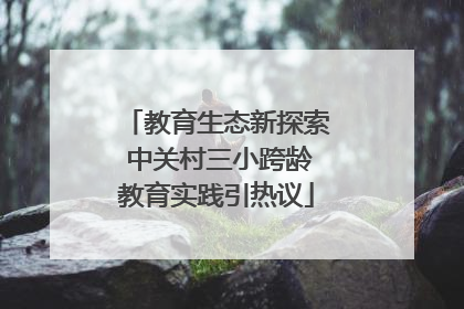 教育生态新探索 中关村三小跨龄教育实践引热议