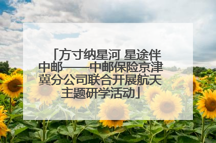 方寸纳星河 星途伴中邮——中邮保险京津冀分公司联合开展航天主题研学活动