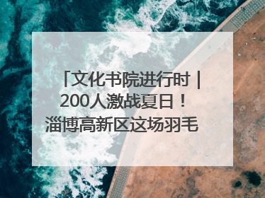文化书院进行时｜200人激战夏日！淄博高新区这场羽毛球比赛太酷