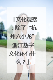文化观察：除了“杭州六小龙” 浙江数字文化还有什么？