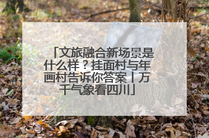 文旅融合新场景是什么样？挂面村与年画村告诉你答案丨万千气象看四川