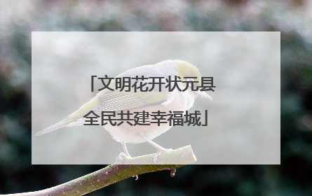 文明花开状元县 全民共建幸福城