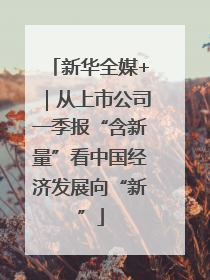 新华全媒+｜从上市公司一季报“含新量”看中国经济发展向“新”