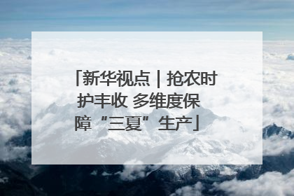 新华视点｜抢农时 护丰收 多维度保障“三夏”生产